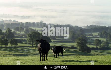 08/09/12 la vue depuis les Weaver Hills, près d'Ellastone, dit être le point le plus au sud des Pennines, regardant vers le sud au-dessus du Staffordshire comme th Banque D'Images