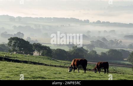 08/09/12 la vue depuis les Weaver Hills, près d'Ellastone, dit être le point le plus au sud des Pennines, regardant vers le sud au-dessus du Staffordshire comme th Banque D'Images