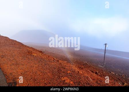 Le parc national de Haleakala, Maui, Hawaï, États-Unis, couvert de brume. Banque D'Images