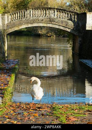 Le sentier de la Tamise est un parcours très fréquenté par les cyclistes, les joggeurs et les propriétaires de chiens - sans parler des photographes !L'un de ses nombreux endroits pittoresques est Banque D'Images