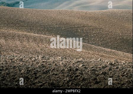 Les champs fraîchement labourés et semés sur la colline. Italie Banque D'Images