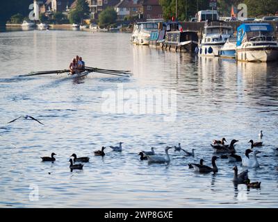 Équipes d'aviron sur la Tamise à Abingdon, juste en direction de la jolie marina de la ville. Il est tôt un matin d'automne, mais vous pouvez en voir toutes sortes Banque D'Images