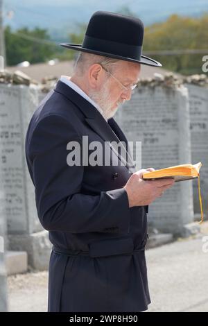 Un juif orthodoxe prie sur la tombe d'un être cher dans un cimetière en 2023 à New York. Il lit probablement des Psaumes. Banque D'Images