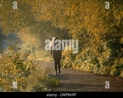 Femme marchant sur le chemin de la Tamise au milieu des couleurs d'automne. Ce tronçon du célèbre sentier pédestre longe la rivière juste en aval de Folly Bridge, Ox Banque D'Images