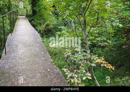 Banja Koviljacha, Serbie, Loznica, Mont Guchevo. Un vieux pont étroit en béton traversant une rivière de montagne avec une clôture métallique. Fourrés de buissons, lierre Banque D'Images