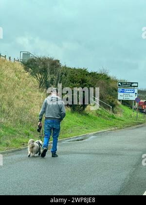 Ipswich, Suffolk - 14 février 2024 : retards importants sur l'A14 en direction ouest à Nacton. Route fermée en raison d'un incident géré par la police. Un homme promène son chien sur l'épaule dure. Banque D'Images