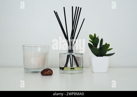 Bâtons d'Encens dans un vase cubique en verre avec des huiles essentielles. Décoration intérieure. Arrière-plan blanc. Châtaignier. Plante de Crassula dans un pot. Bougie parfumée Banque D'Images