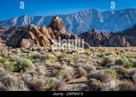 Photo de paysage des collines colorées et accidentées de l'Alabama, Californie Banque D'Images