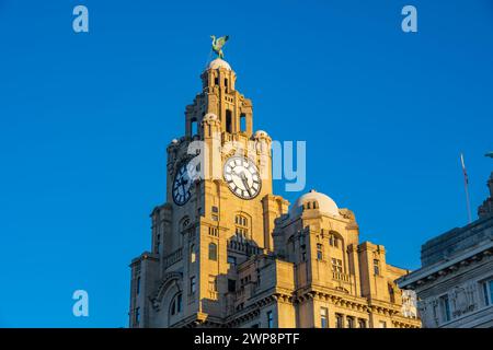 En regardant le bâtiment du foie sur le front de mer de Liverpool Banque D'Images