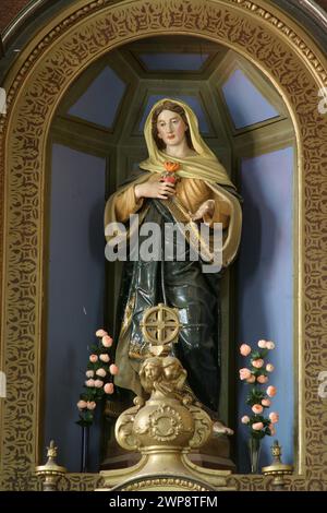 Cœur immaculé de Marie, statue dans l'église paroissiale du cœur immaculé de Marie à Ilova, Croatie Banque D'Images