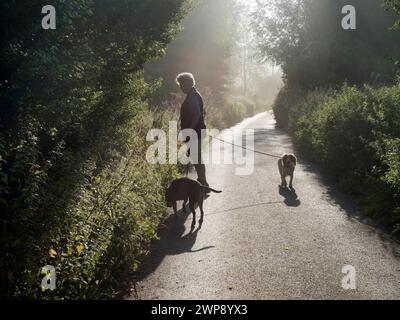 Un de mes sentiers préférés, n'importe où. Il mène de mon village natal de Radley dans l'Oxfordshire, en Angleterre, à une partie pittoresque de la Tamise par Radley Bo Banque D'Images