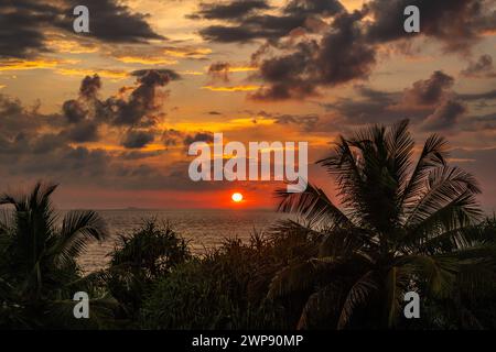 Beau coucher de soleil avec des nuages sombres par temps de mousson, palmier sur la plage, océan Indien. Plage de Waskaduwa, Sri Lanka. Banque D'Images