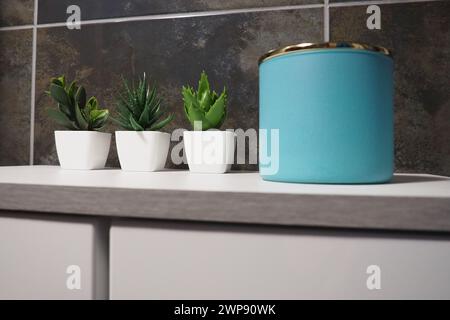 Éléments de décoration de la salle de bains. Un pot bleu de crème ou d'huile, vert plantes artificielles dans de petits pots blancs se tiennent sur une étagère de cabinet. Carreaux muraux noirs. Salle de bains Banque D'Images