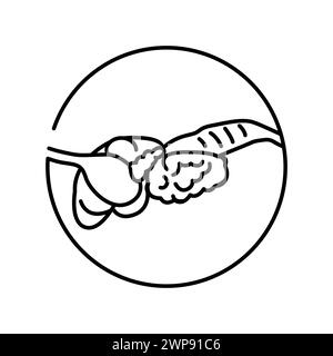 Icône de la ligne de couleur anatomique de l'organe du chien. Organisation en organisme. Elément isolé par vecteur. Contour modifiable. Illustration de Vecteur