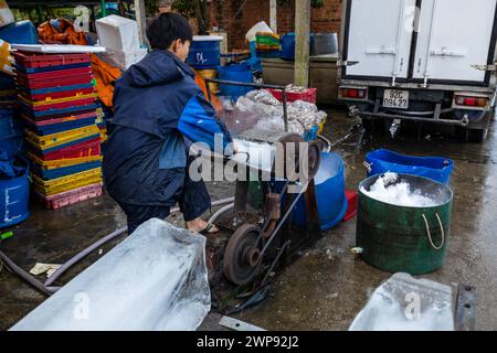 Ouvrier avec des blocs de glace au marché aux poissons de Hoi an Banque D'Images