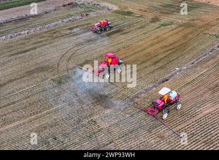 Pékin, Chine. 6 mars 2024. Une photo de drone aérien prise le 6 mars 2024 montre des machines agricoles pulvérisant des insecticides dans un champ de blé dans le village de Shuangmiao dans le canton de Hushan, Rongcheng, dans la province du Shandong de l'est de la Chine. Les agriculteurs de nombreuses régions de Chine sont occupés dans les champs avec le labour printanier, le semis et d'autres activités agricoles. Crédit : Li Xinjun/Xinhua/Alamy Live News Banque D'Images