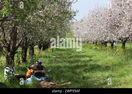 Modiin. 6 mars 2024. Des gens visitent un verger d’amandiers près de la ville israélienne centrale de Modiin le 6 mars 2024. Crédit : Gil Cohen Magen/Xinhua/Alamy Live News Banque D'Images