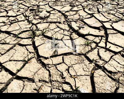 Des fissures profondes dans la terre comme symbole du climat chaud et de la sécheresse. Désert et terre fissurée. Sol inégal et gonflé. Vide et mort. Écologique et Banque D'Images