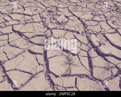 Des fissures profondes dans la terre comme symbole du climat chaud et de la sécheresse. Désert et terre fissurée. Sol inégal et gonflé. Vide et mort. Écologique et Banque D'Images