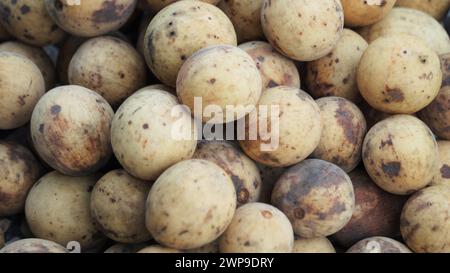 Lansium parasiticum (duku, langsat, kokosan, pisitan, céloriage). Lansium parasiticum est cultivé principalement pour ses fruits, qui peuvent être consommés crus Banque D'Images