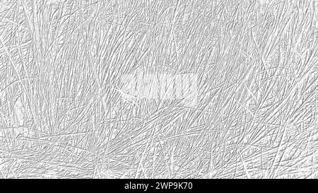 Fond floral gris et blanc. Foin et herbe sèche, tiges simples, roseaux ou bâtonnets. Tirets gris sur fond blanc. Image pour l'arrière-plan ou Banque D'Images