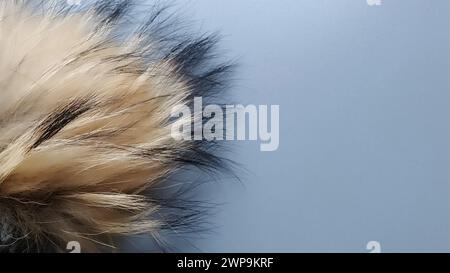 Grand pompon souple en fourrure naturelle brune ou beige clair. Accessoire doux et agréable au toucher. Capuchons supérieurs. Elément de conception pour enfants d'hiver Banque D'Images