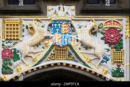 Emblème Tudor au-dessus de l'entrée principale du Christ College, Université de Cambridge, Angleterre, fondé par Margaret Beaufort, la mère du roi Henry VII, Banque D'Images