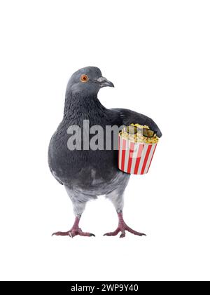 Colombe avec pop-corn dans un seau rouge avec des lunettes stéréo sur fond blanc Banque D'Images