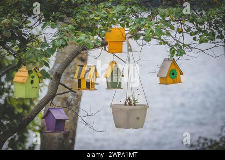 Des nichoirs colorés pendent d'un arbre près de l'eau par une journée nuageuse Banque D'Images