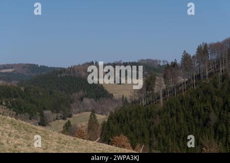 Vue sur le paysage avec la forêt dégagée dans la zone allemande appelée Rothaargebirge près de la ville de Bad Berleburg Banque D'Images