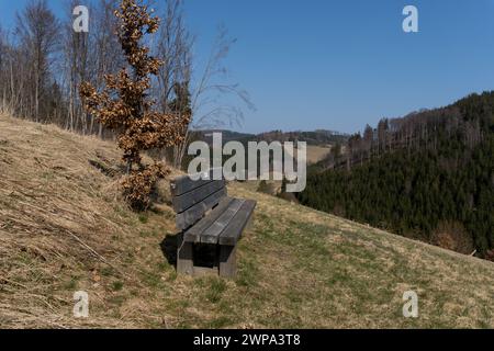 Vue sur le paysage avec la forêt dégagée dans la zone allemande appelée Rothaargebirge près de la ville de Bad Berleburg Banque D'Images