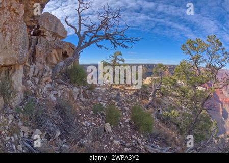 Vue de dessous les falaises du Great Mohave Wall Overlook le long de Hermit Road au Grand Canyon Arizona. Banque D'Images