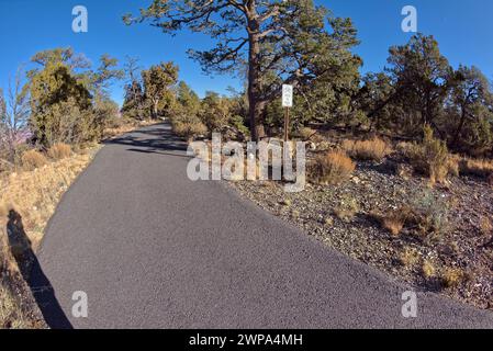 Le Greenway Trail qui court entre Pima point et Monument Creek Vista au Grand Canyon Arizona. Banque D'Images