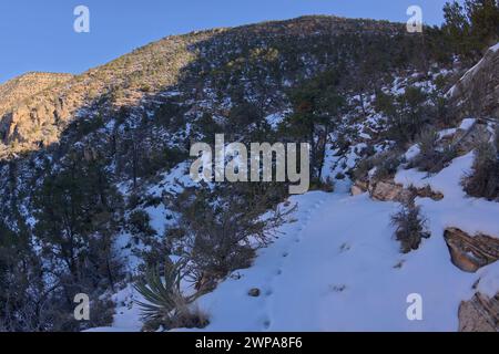 Le sentier de falaise enneigé de Waldron Canyon à Grand Canyon Arizona, au sud-ouest de Hermit Canyon en hiver. Banque D'Images