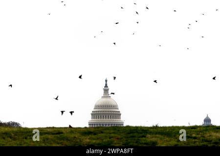 Washington, District de Columbia, États-Unis. 6 mars 2024. Le Capitole des États-Unis vu de près du Washington Monument mercredi 6 mars 2024 à Washington, DC (image crédit : © Eric Kayne/ZUMA Press Wire) USAGE ÉDITORIAL SEULEMENT! Non destiné à UN USAGE commercial ! Banque D'Images