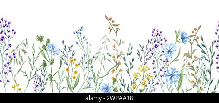 Herbes de prairie, plantes, fleurs. Bordure sans couture de fleurs sauvages. Jaune, fleur bleue, herbe verte. Printemps, verdure estivale. Illustration aquarelle Banque D'Images