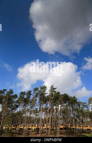 23/04/14 Center Parcs la forêt de Woburn se prépare à l'ouverture. Banque D'Images