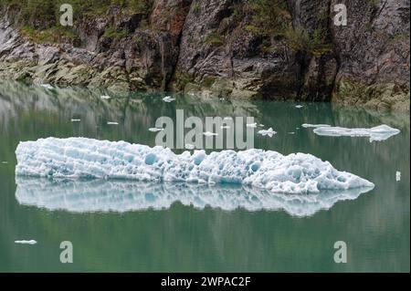 Growler piqué (petit iceberg) flottant dans le bras Tracy, Alaska, États-Unis Banque D'Images