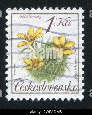 TCHÉCOSLOVAQUIE - VERS 1991 : timbre imprimé par la Tchécoslovaquie, fleurs, vers 1991 Banque D'Images