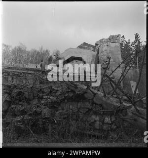 La zone de 'Wolf's Shape', le chef du quartier général d'Adolf Hitler - le reste de l'un des bunkers ; d'une série de photographies à l'article de Miroszek Azembski 'dans le champ de 'Mierci champ de récolte',' Wiatr '1953, n ° 49, p. 20 ; Pra 1953 (1953-00-00-1953-00-00); Banque D'Images