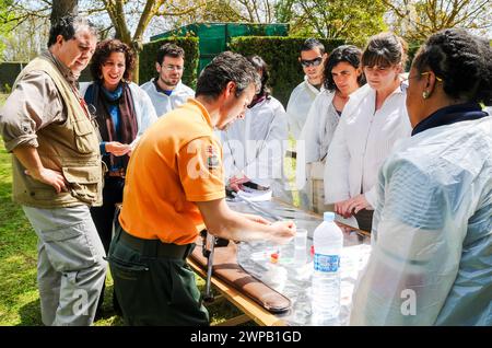 L'instructeur enseigne aux étudiants comment préparer une dose d'anesthésie à l'extérieur. Banque D'Images