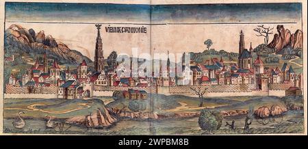 Une belle gravure sur bois de 1493 de la ville de Vienne en Autriche. Cette illustration provient de la chronique de Nuremberg, qui est une ényclodpedia des événements mondiaux, de la mythologie et de l'histoire chrétienne. Ce travail extra-ordinaire a été l'un des premiers livres jamais imprimés et le premier à intégrer avec succès du texte et des images. Banque D'Images