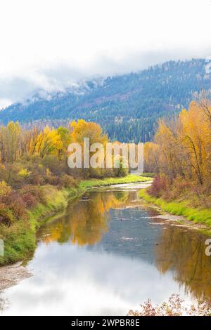 Deep Creek Trail en automne avec les montagnes Selkirk en arrière-plan Banque D'Images