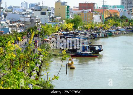 Ho Chi Minh ville, Vietnam, rangée d'arbres urbains, fistule Cassia le long de la rue fleurissent en jaune à côté de la rivière que le groupe d'ancre de bateau et flottent sur l'eau Banque D'Images