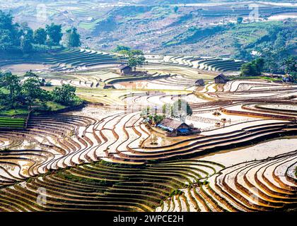 Beauté des champs de riz en terrasses à y TY, Laocai, Vietnam dans la saison d'arrosage. Banque D'Images