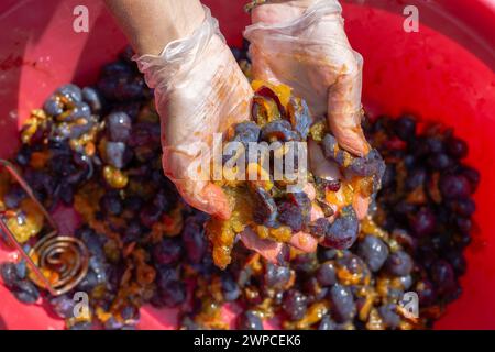 les mains féminines pétrissent la pulpe de prune pour préparer le vin de prune. Banque D'Images