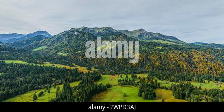 Vue automnale de Sibratsgfäll dans le parc naturel de Nagelfluhkette dans le Bregenzerwald dans le Vorarlberg Banque D'Images