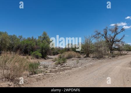 Le lit sec de la rivière Ugab, Damaraland, Namibie Banque D'Images