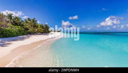 Concept de nature de plage. Palm Beach dans une île paradisiaque tropicale idyllique. Paysage exotique pour les paysages d'été rêveurs et inspirants utiliser comme arrière-plan Banque D'Images