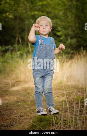 Petit garçon vêtu de jeans posant sur la souche et le sentier dans la forêt Banque D'Images